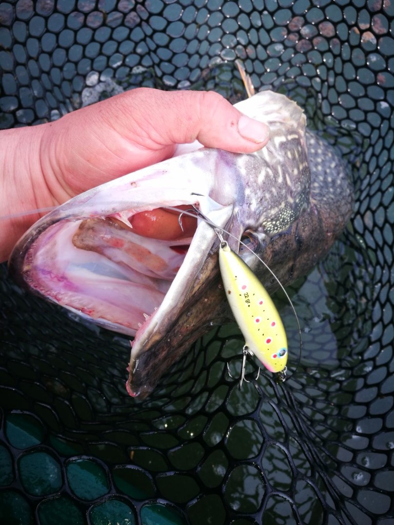 Lago lipless 8,5 cm
