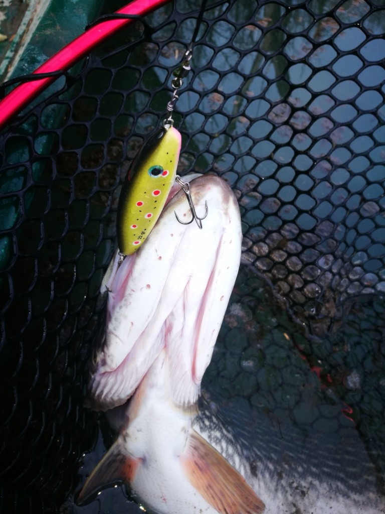 Lago lipless 8,5 cm