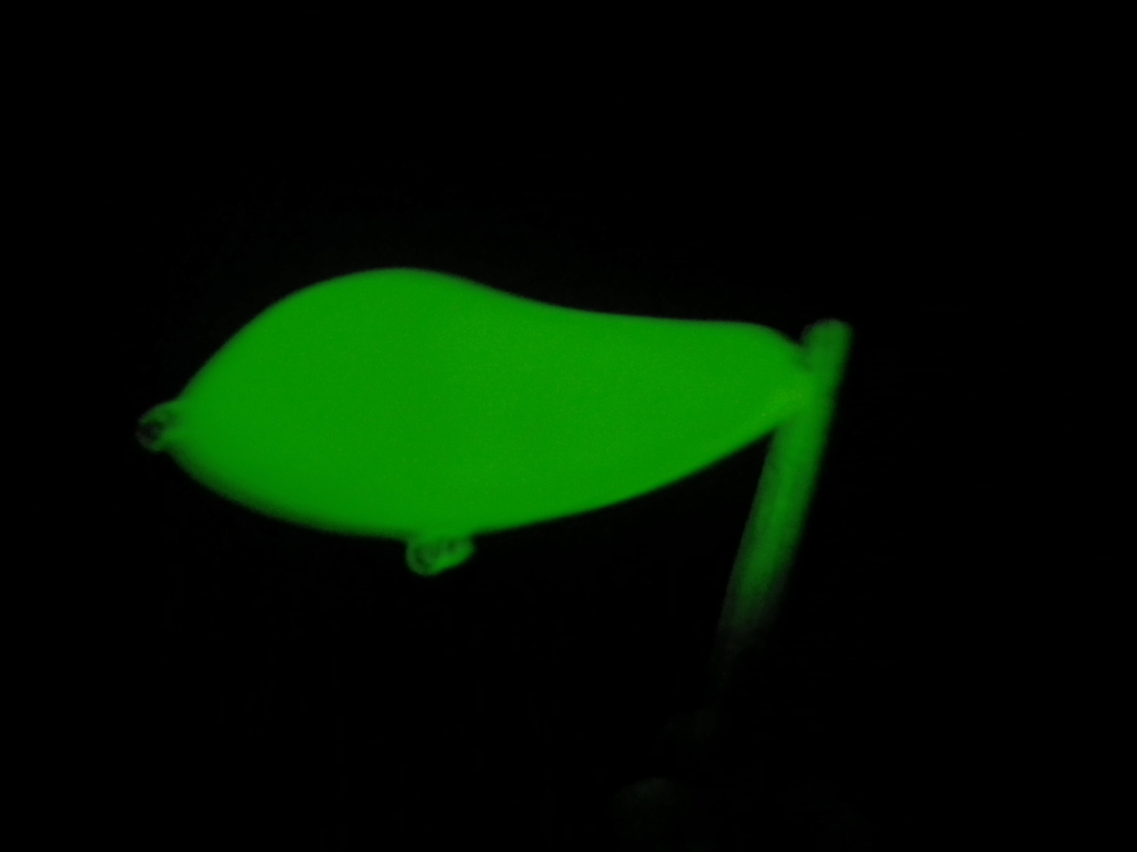 IMGP1261