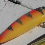 i segni dei denti