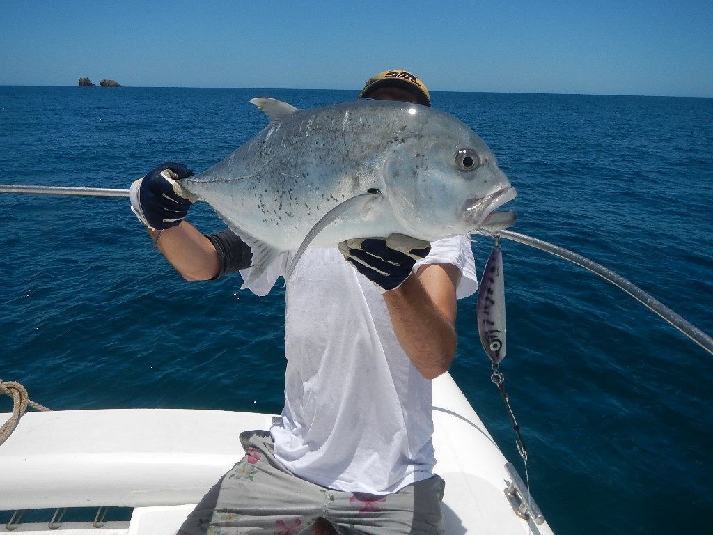 Tuna 15 cm