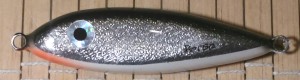 p_20200201_171242_vhdr_auto_1