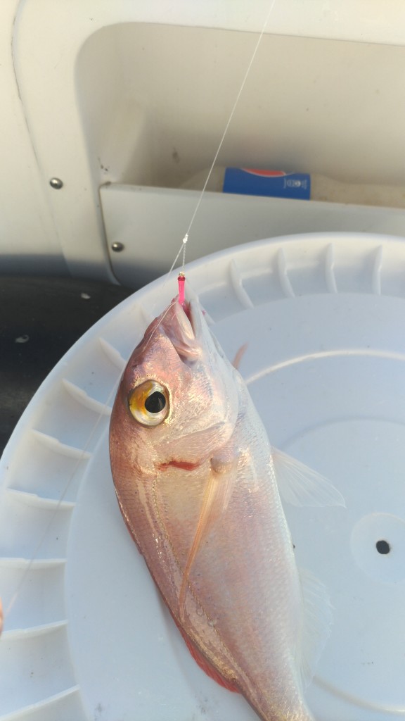 p_20171011_161723_vhdr_auto