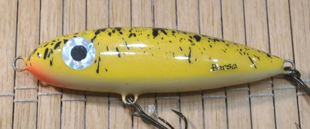 p_20210112_191103_vhdr_auto_1